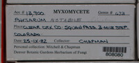 Image Associated With the Occurence